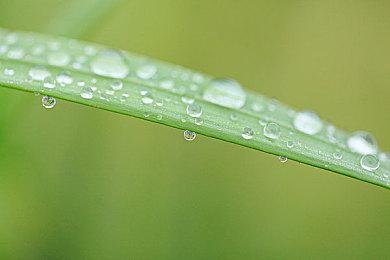 《酷极轮滑》现已在PS5＆PS4＆PC平台推出