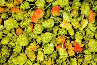 央视网2021彩蛋版清明上河图 EDG夺冠《黑神话》等在内